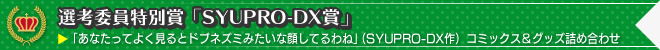 選考委員特別賞