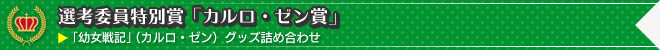 選考委員特別賞